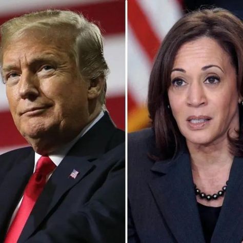 Donald Trump Keeps Calling Kamala Harris ‘Stupid’: A Deep Dive into His Repeated Insults