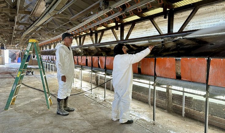 US confirms two human bird flu cases in Washington state